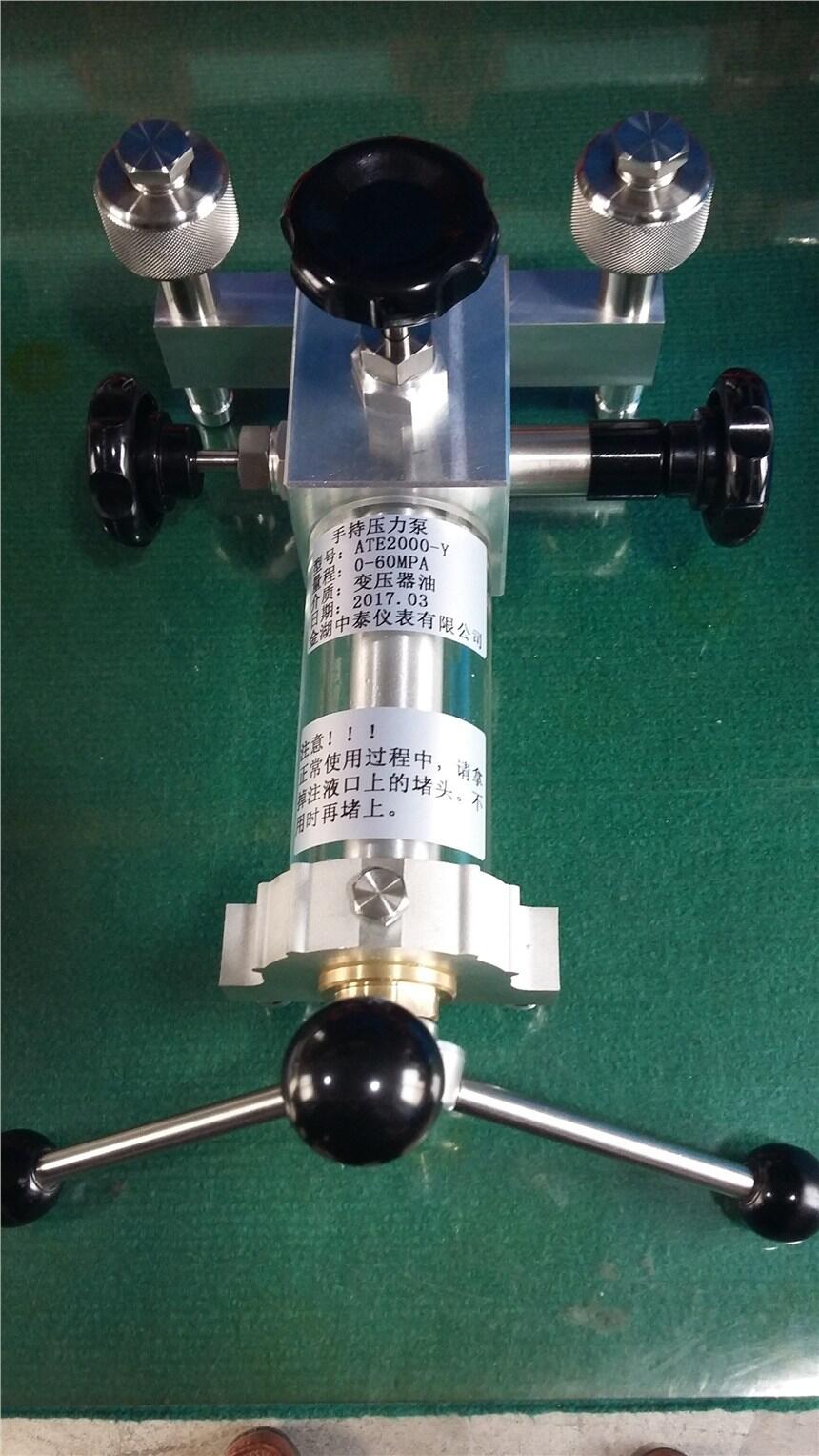 北京金湖中泰ATE3000-A-95KPA-60MPA全量程金湖中泰廠(chǎng)家直供