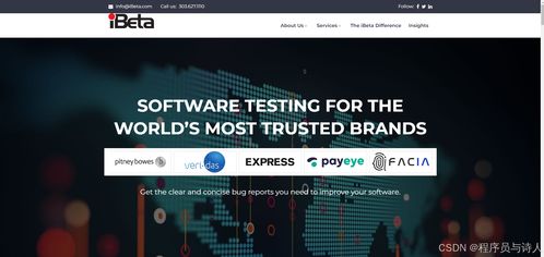 2024年12家最佳軟件測試服務(wù)公司