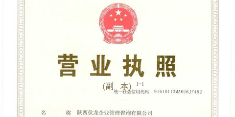 陜西伏龍企業(yè)管理咨詢 賦能企業(yè)，驅(qū)動(dòng)增長(zhǎng)