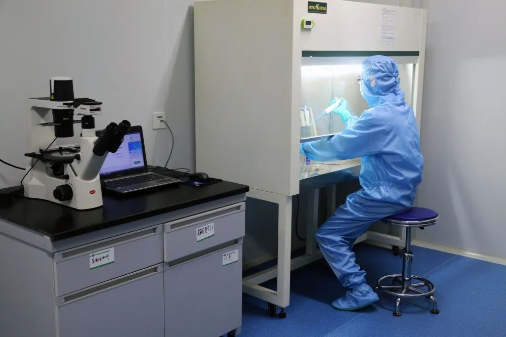 流式檢測技術服務 精準高效的細胞分析解決方案