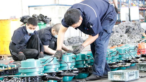 價格與價值:爬架電動提升機的檢測技術服務探討